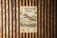 A vintage-style poster of a bird, likely a sandpiper, is displayed on a wooden wall.