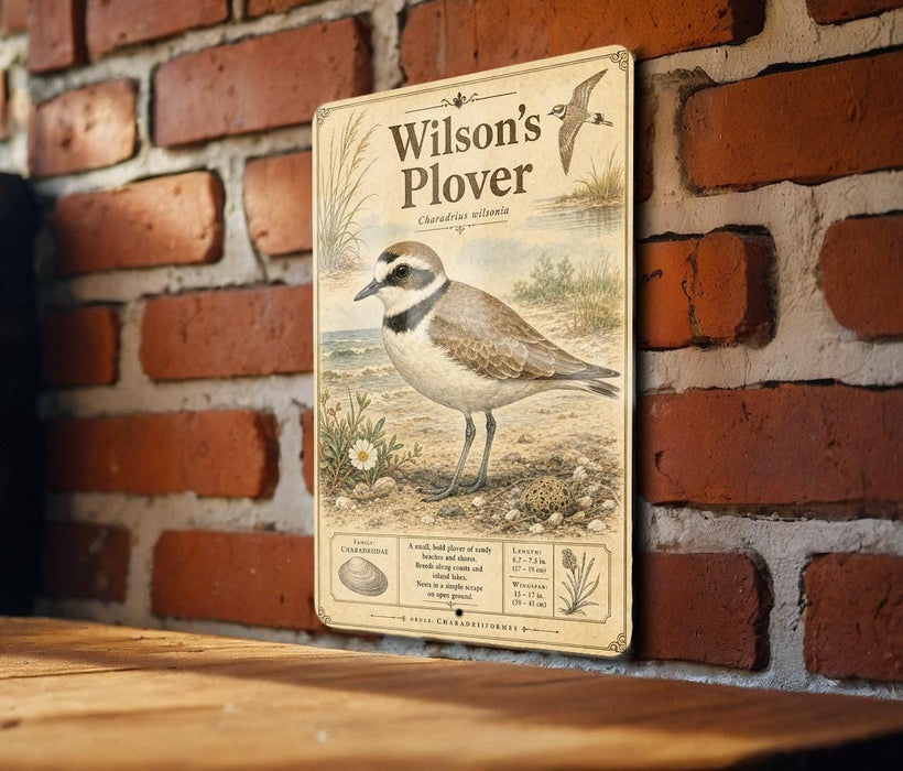 A vintage-style metal plaque depicting a bird, likely Wilson's Plover, standing on a beach. The plaque has a detailed illustration of the bird and includes text providing information about the species.