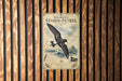 A vintage-style poster advertising Wilson's Storm-Petrel, featuring a large bird in flight against a backdrop of ocean waves and a lighthouse.