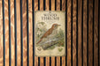 A vintage-style poster of a wood thrush bird is displayed on a wooden wall.