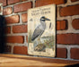 a vintage-style illustration of a yellow-crowned night-heron, a bird species native to the coastal regions of the United States and Canada. The illustration depicts the bird standing on a branch with a detailed illustration of its physical features, including its distinctive black and white plumage, long legs, and a black beak. The image is mounted on a brick wall, and there is a wooden table in the foreground.