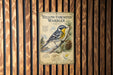 A poster of a yellow-throated warbler, a bird species native to North America, is displayed on a wooden wall.