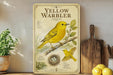 A vintage-style poster of a yellow warbler bird is displayed on a shelf, accompanied by a wooden cutting board and a potted plant.