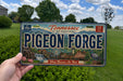 A person is holding a Tennessee license plate that says "Pigeon Forge" with a scenic illustration of the area below it.