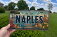 A person is holding a license plate with the word "NAPLES" prominently displayed on it. The license plate also features an illustration of a cityscape and a body of water, along with the text "ITALY" and "La Bella Napoli".
