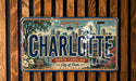 A license plate from North Carolina featuring the city of Charlotte and its surrounding landscape.