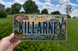 A person is holding a license plate that says "KILLARNEY" in large letters, with a scenic landscape of lakes, mountains, and a castle in the background.