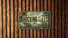 A vintage-style license plate with the text "HOCKING HILLS" and "OHIO'S NATURAL WOND" printed on it, hanging on a wooden wall.