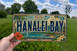A person is holding a license plate that says "HANALEI BAY" against a background of a grassy field and trees.